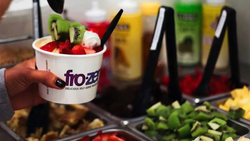 Frozen yogurt business hotsell