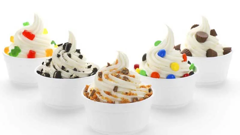 Frozen yogurt vendors store