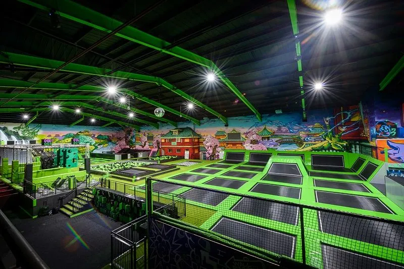 Flip Out Franchise for Sale Cost Fees All Details Requirements