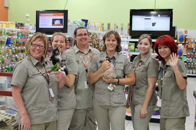 Petland Franchise Cost Fees Opportunities And Investment Information